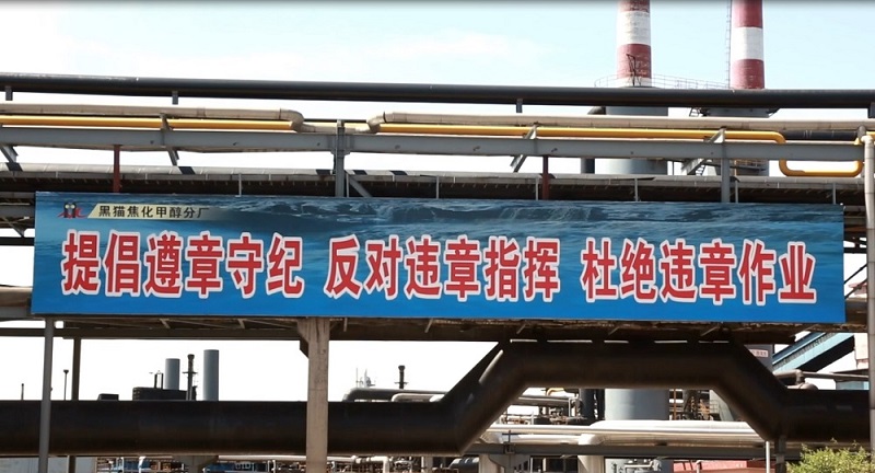 面對面“把脈問診” 實打?qū)崱办畈?qiáng)身”
